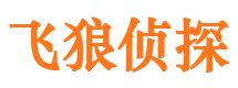 兰山市私人侦探